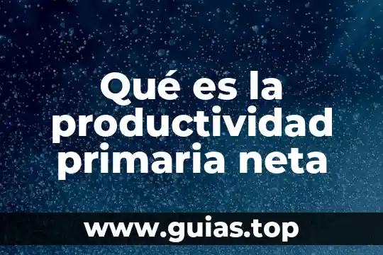 Qué es una idea secundaria y una primaria 3 Qué es la productividad primaria neta