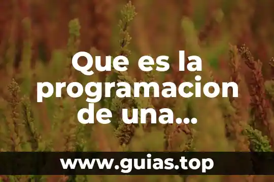 Que es esencia en la ciencia 3 Que es la programacion de una empresa
