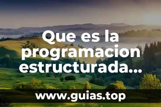 Que es meco en mexico yahoo 7 Que es la programacion estructurada codificada
