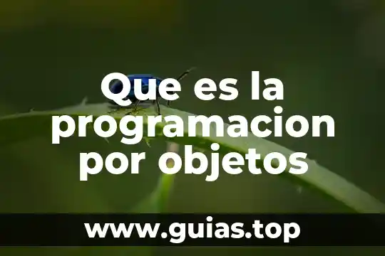 Que es lo que le da color a los objetos 4 Que es la programacion por objetos