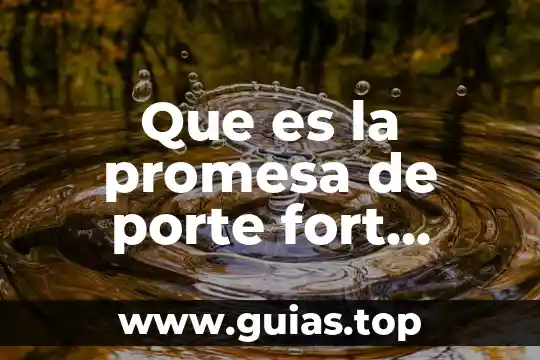 Que es el nombre en el derecho civil 6 Que es la promesa de porte fort codigo civil