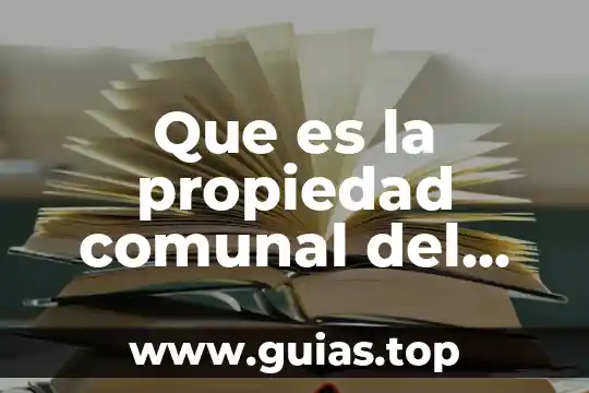 Que es el tronco en la figura humana 3 Que es la propiedad comunal del periodo comunal