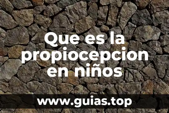 Que es la estrella de mar para niños de preescolar 7 Que es la propiocepcion en niños