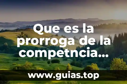 Qué es la birria en México 7 Que es la prorroga de la competncia mexico