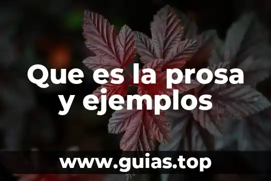 Que es underground ejemplos 7 Que es la prosa y ejemplos
