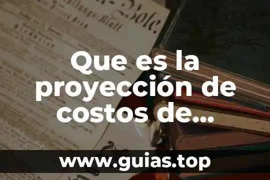 Qué es dinanometro en psicología 4 Que es la proyección de costos de operación