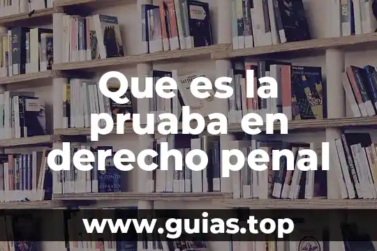 Que es una arma de fuego derecho penal 8 Que es la pruaba en derecho penal