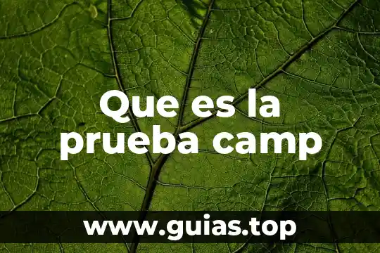 Que es rdw bajo en analisis de sangre 4 Que es la prueba camp