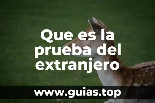 Número único de extranjero que es 3 Que es la prueba del extranjero