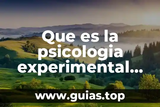 Qué es el soporte neural en psicología experimental 3 Que es la psicologia experimental para que es