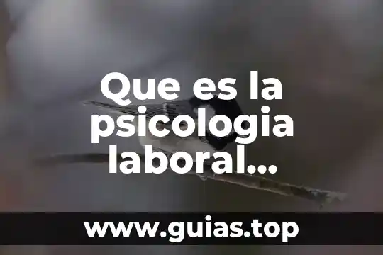 Que es el fundador de la psicologia de la conciencia 5 Que es la psicologia laboral definicion