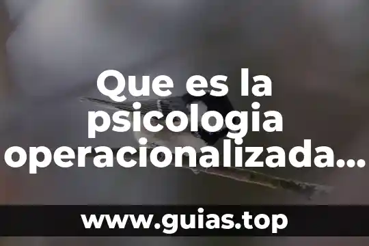 Qué es el significado y el significante en psicología 8 Que es la psicologia operacionalizada al campo del educativo