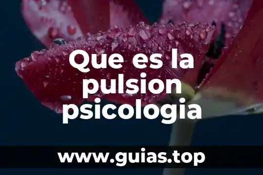 Tri en psicología que es 3 Que es la pulsion psicologia