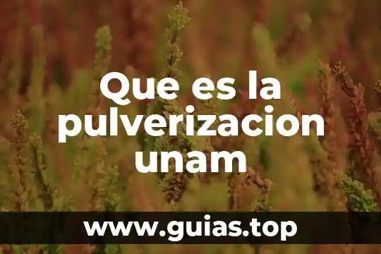 Ideología que es unam 5 Que es la pulverizacion unam