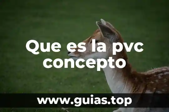 Qué es número atómico en física 8 Que es la pvc concepto