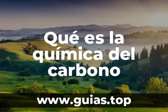Definición que es un docente cita 6 Qué es la química del carbono