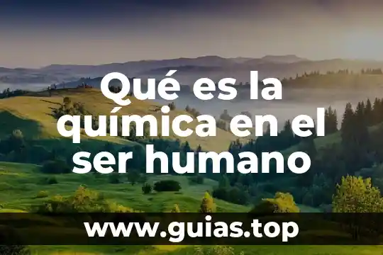Que es un humano ser 5 Qué es la química en el ser humano