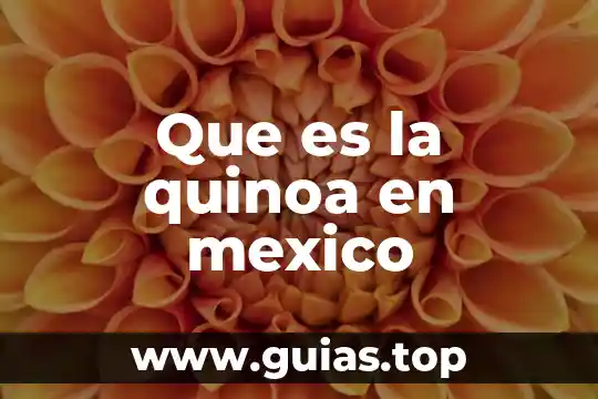 ¿Qué es el número Dín? 7 Que es la quinoa en mexico