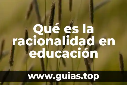 Que es un principio filosofico de la educacion 6 Qué es la racionalidad en educación
