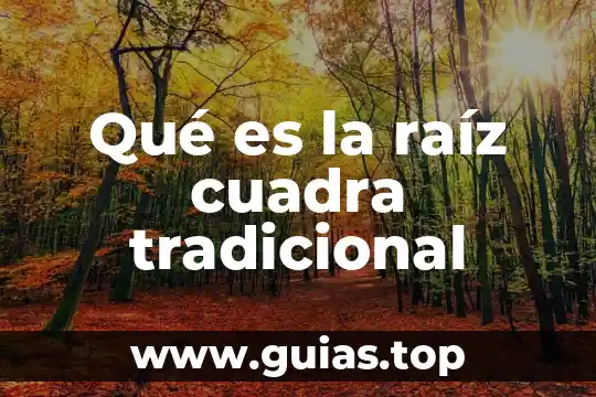 Que es fuente de agua dulce 3 Qué es la raíz cuadra tradicional
