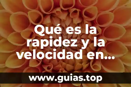 Qué es avelocidad en física 7 Qué es la rapidez y la velocidad en física