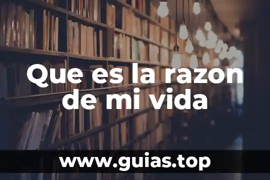 Que es darle un plus a tu vida 4 Que es la razon de mi vida