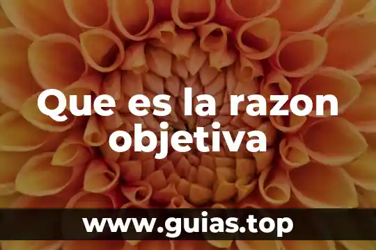 Que es una media objetiva en evaluacion 7 Que es la razon objetiva