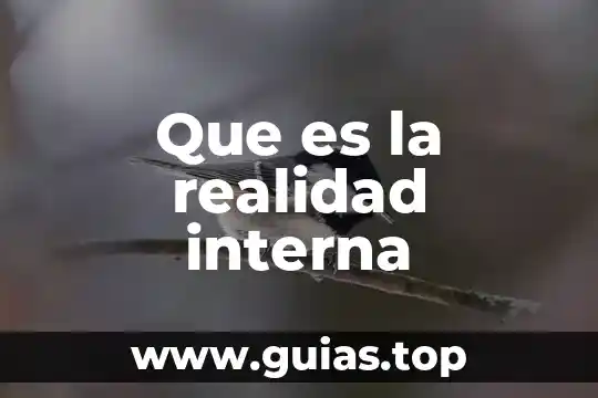 Que es un elemento interna de una operacion con numeros 7 Que es la realidad interna