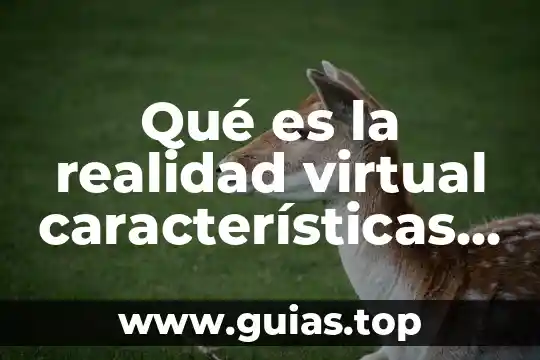 Estructura de la realidad que es 4 Qué es la realidad virtual características y ejemplos