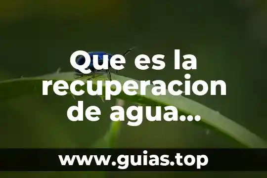 Qué es la recuperación de objetivos 6 Que es la recuperacion de agua empresaa embotelladora