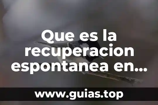 Qué es la conducta psicología y mente 4 Que es la recuperacion espontanea en psicologia