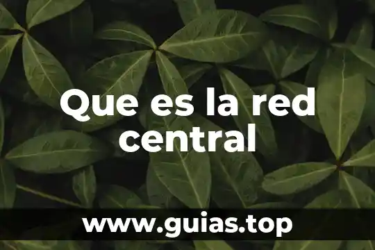 Qué es mejor la plancha o la central de vapor 3 Que es la red central