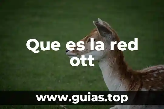 Que es una red domestica de agua 6 Que es la red ott