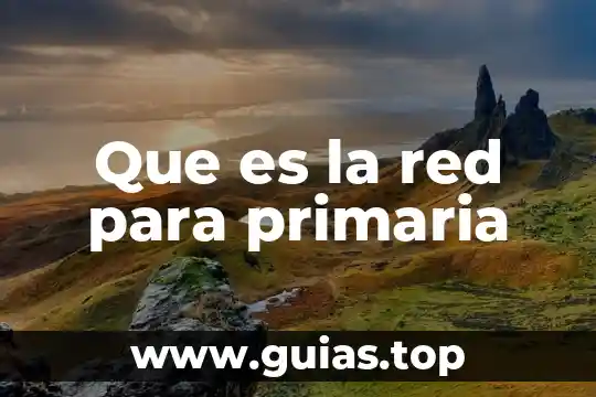 Que es el dinero para niños de primaria primero 7 Que es la red para primaria