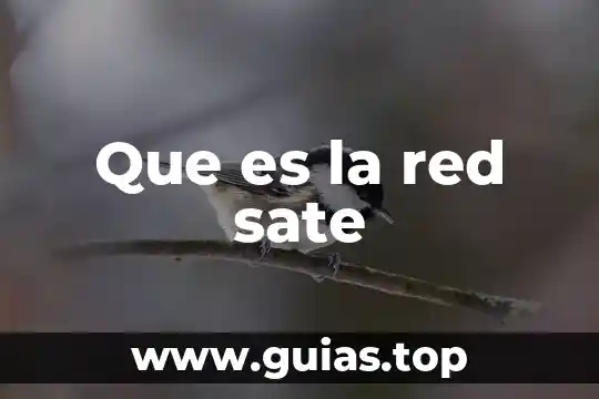 Que es red de estrella 7 Que es la red sate