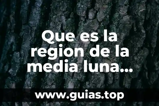 Que es ingenioso yahoo 4 Que es la region de la media luna yahoo