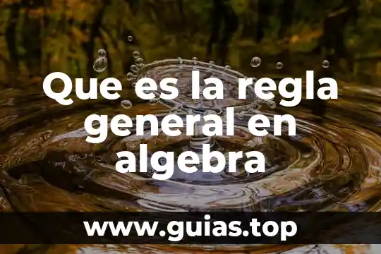 Que es un animal esquino 5 Que es la regla general en algebra