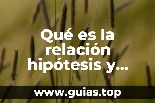 Que es una relacion de proporcionalidad directa y como realizar 6 Qué es la relación hipótesis y supuesto jurídico
