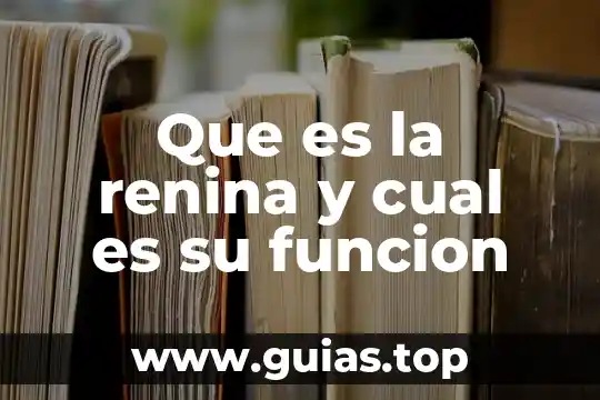 Que es una funcion inyectiva concepto 4 Que es la renina y cual es su funcion