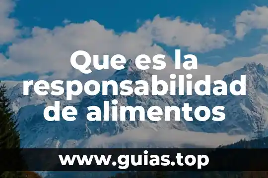 Que es responsabilidad de dinero en el trabajo 5 Que es la responsabilidad de alimentos