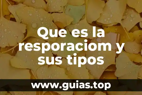 Que es parálisis facial y sus tipos 8 Que es la resporaciom y sus tipos