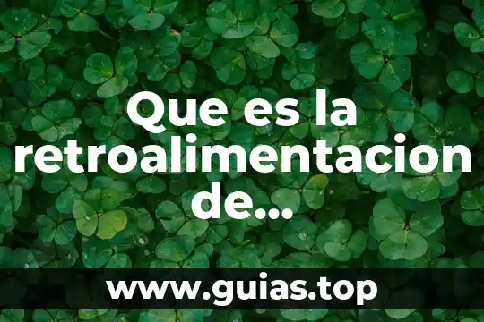 Que es el acne conocimientos populares 4 Que es la retroalimentacion de conocimientos