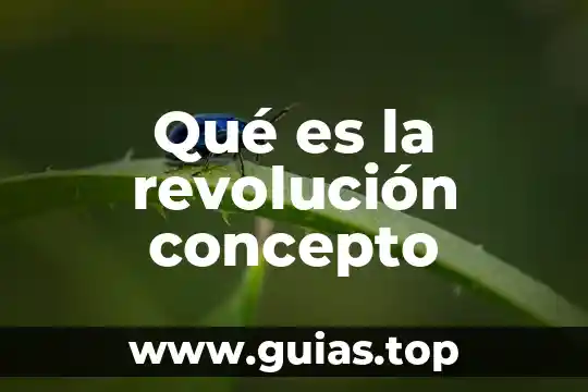 Qué es la plusvalía en la revolución industrial 4 Qué es la revolución concepto