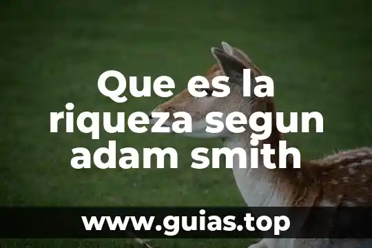 Que es la administracion segun da silva 3 Que es la riqueza segun adam smith