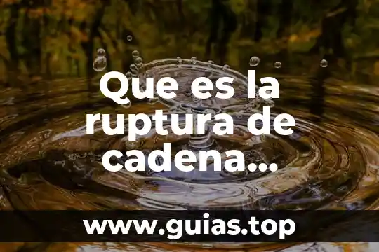 Que es cadena alimenticia considerando como parte esencial al sol 8 Que es la ruptura de cadena definicion