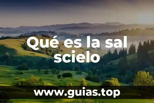 Qué es un compuesto y sus características 8 Qué es la sal scielo