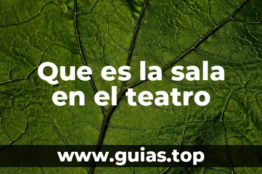 Que es el manejo del espacio en el teatro 6 Que es la sala en el teatro