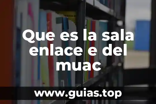 Que es una sala de belleza 5 Que es la sala enlace e del muac