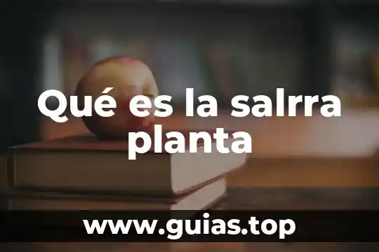Que es la planta la vanda 3 Qué es la salrra planta