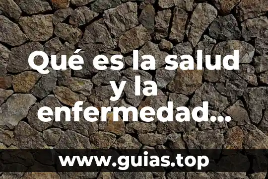 Definiciones que es la suma de terminos concepto 8 Qué es la salud y la enfermedad definiciones médicas